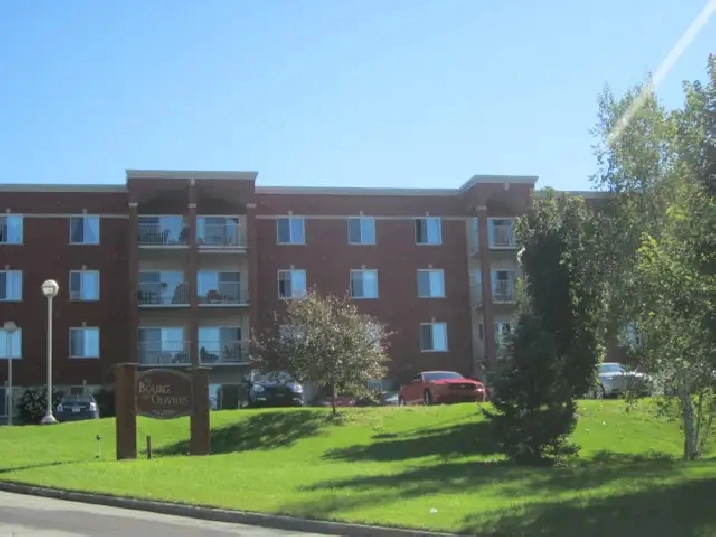 MAGNIFIQUE 3 1/2 JACQUES-CARTIER NORD (IMMEUBLE DE PRESTIGE) 55