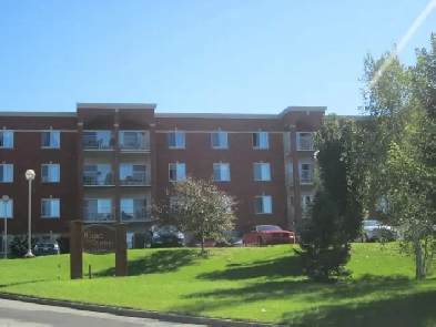 MAGNIFIQUE 3 1/2 JACQUES-CARTIER NORD (IMMEUBLE DE PRESTIGE) 55