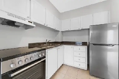 modern 1-bedroom apartment, Nov 1st, ByWard Market - ID 4287