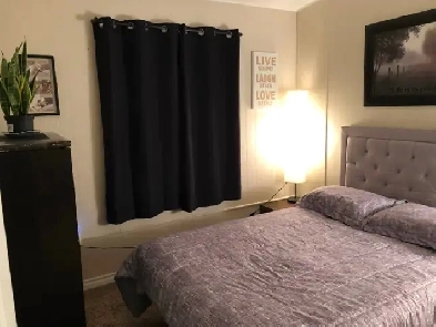 Beautiful Room for Rent