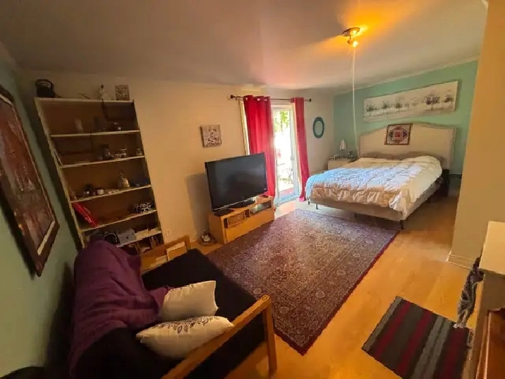 Photo 6
