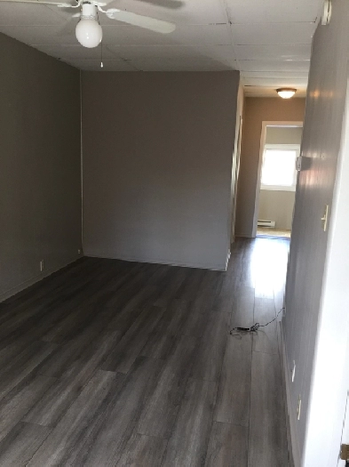 1 Bedroom, 1 bath large eat-in kitchen in Arnprior with Parking