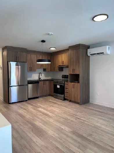 Appartement 2 chambres (4 1/2) NEUF, Vieux-Aylmer, hydro inclus!