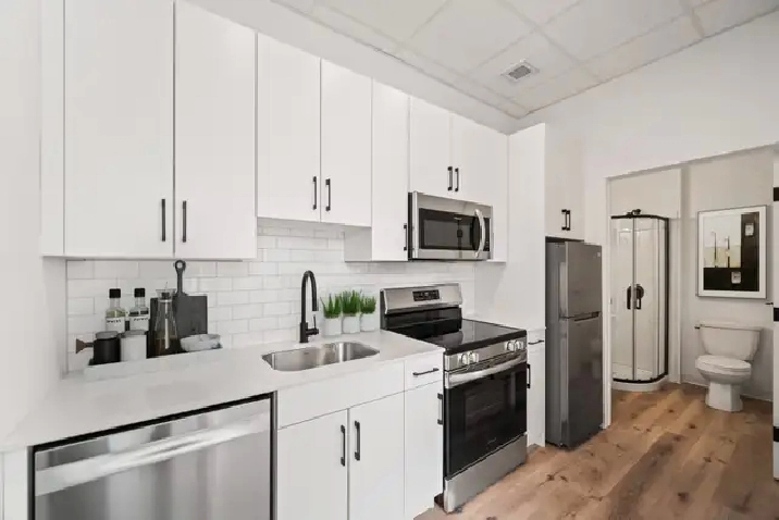 MODERN 1 Bed 1 Bath Apartment - In the Heart of Downtown!
