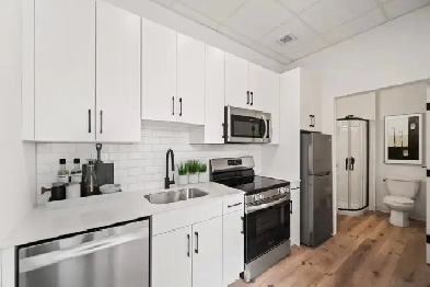 MODERN 1 Bed 1 Bath Apartment - In the Heart of Downtown!