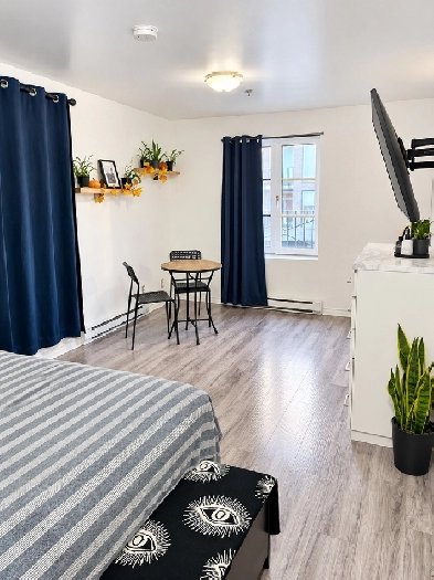 50% 1er Mois - 2 1/2 Rénové Metro Papineau Montréal Appartement