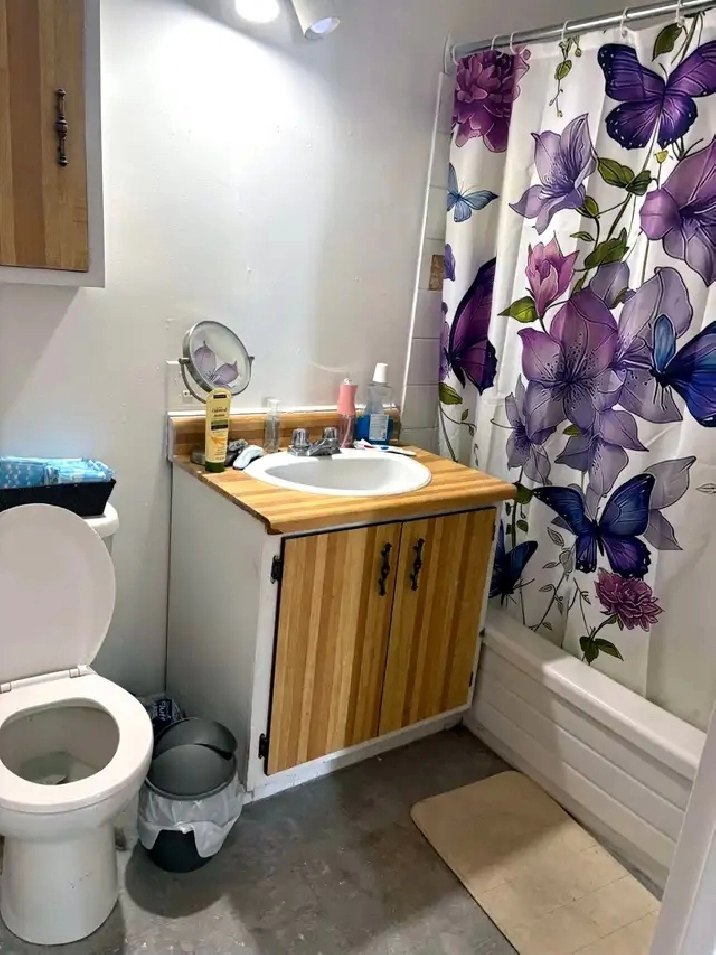 Appartement 1 chambre à louer – Saint-Maurice – 785$/mois