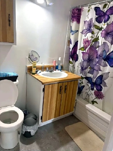 Appartement 1 chambre à louer – Saint-Maurice – 785$/mois