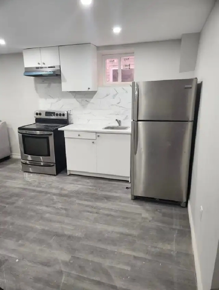 Renovated Basement Apartment