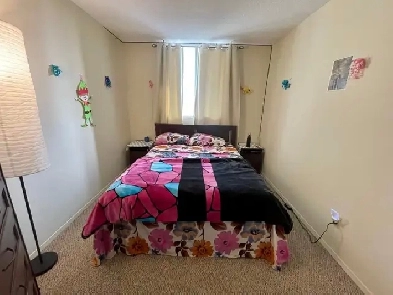 Private Room for rent in Clean High rise building