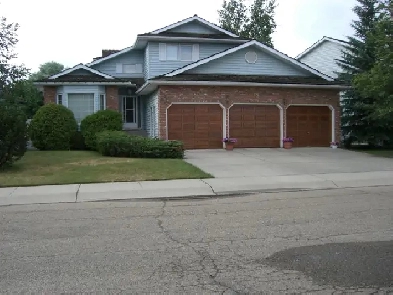 Large basement suit in south triple car garage house for rent