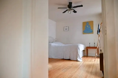 Parkdale 1-Bedroom Sublet — Nov 1 - Jan 1