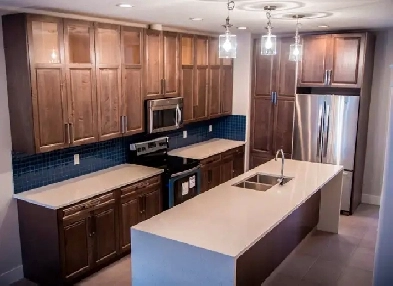 High End 3 1 Bdrm House   Garage in Allandale (By UofA)