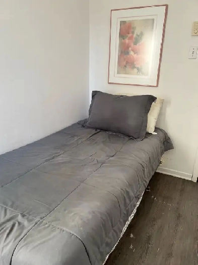 Chambre à louer