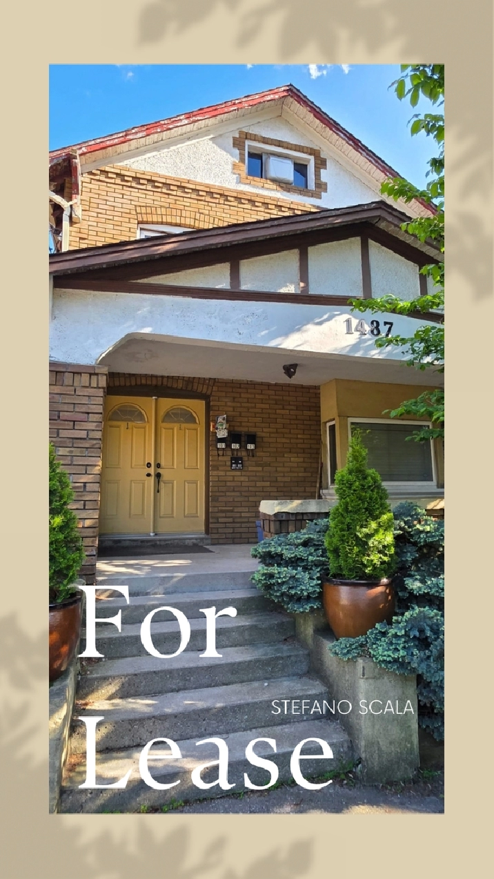 House for rent