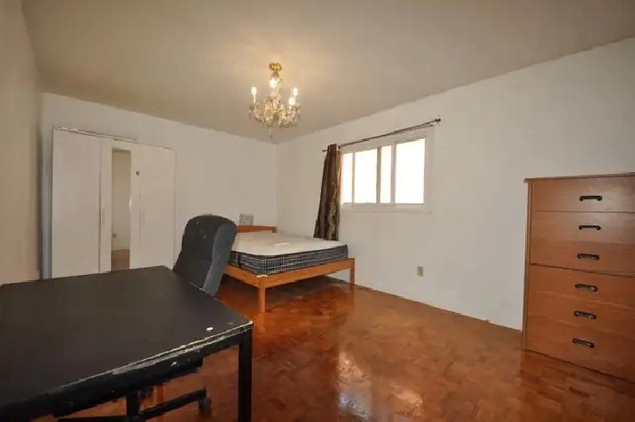 main floor and basement room for rent