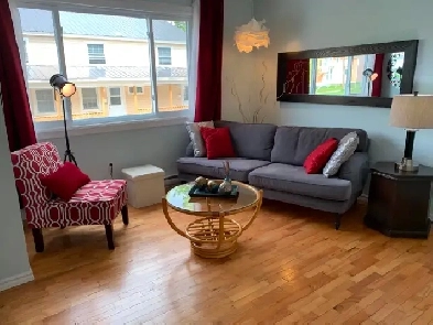 Furnished Heat Lights Internet Parking Downtown Apartment Nov.1