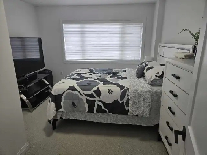 Rooms for rent on Longboat Run W. Brantford,