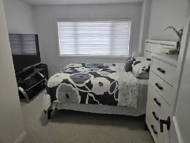 Rooms for rent on Longboat Run W. Brantford,