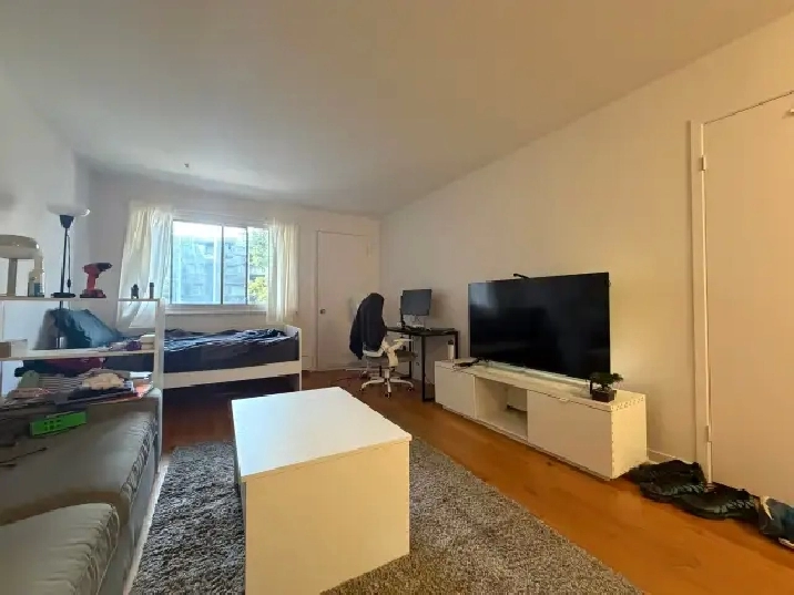 Loft studio à louer Sainte-Foy septembre 2026