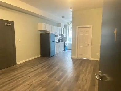 Modern, Spacious 2-Bedroom Apartment King and Richmond
