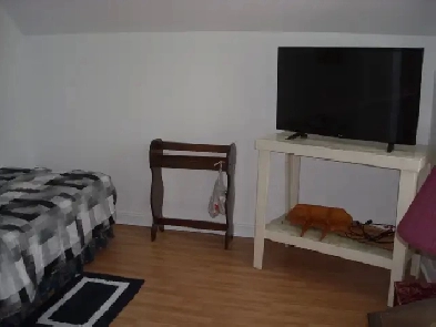 Studio apartment for rent