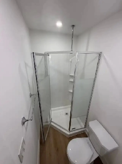 Fully Renovated Furnished Private Room with Ensuite Bathroom | V