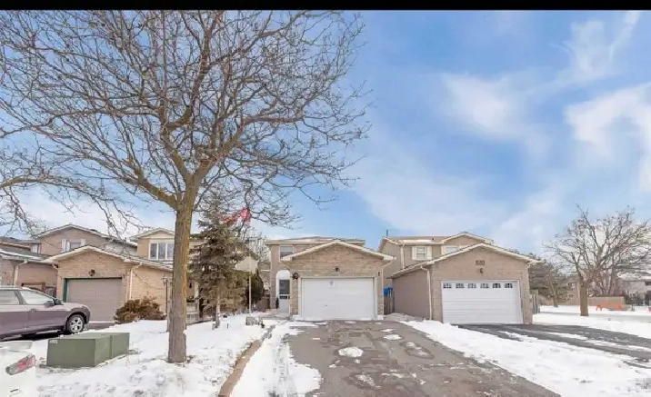House for rent - 3 Bedroom