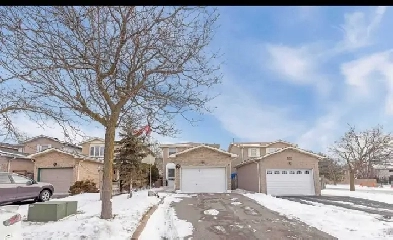 House for rent - 3 Bedroom
