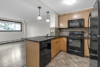 1BR Condo for rent in Windsor Park