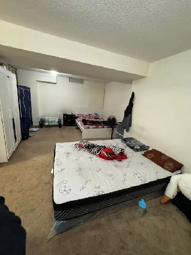 BACHELOR/STUDIO APPARTMENT FOR RENT IN BRAMPTON