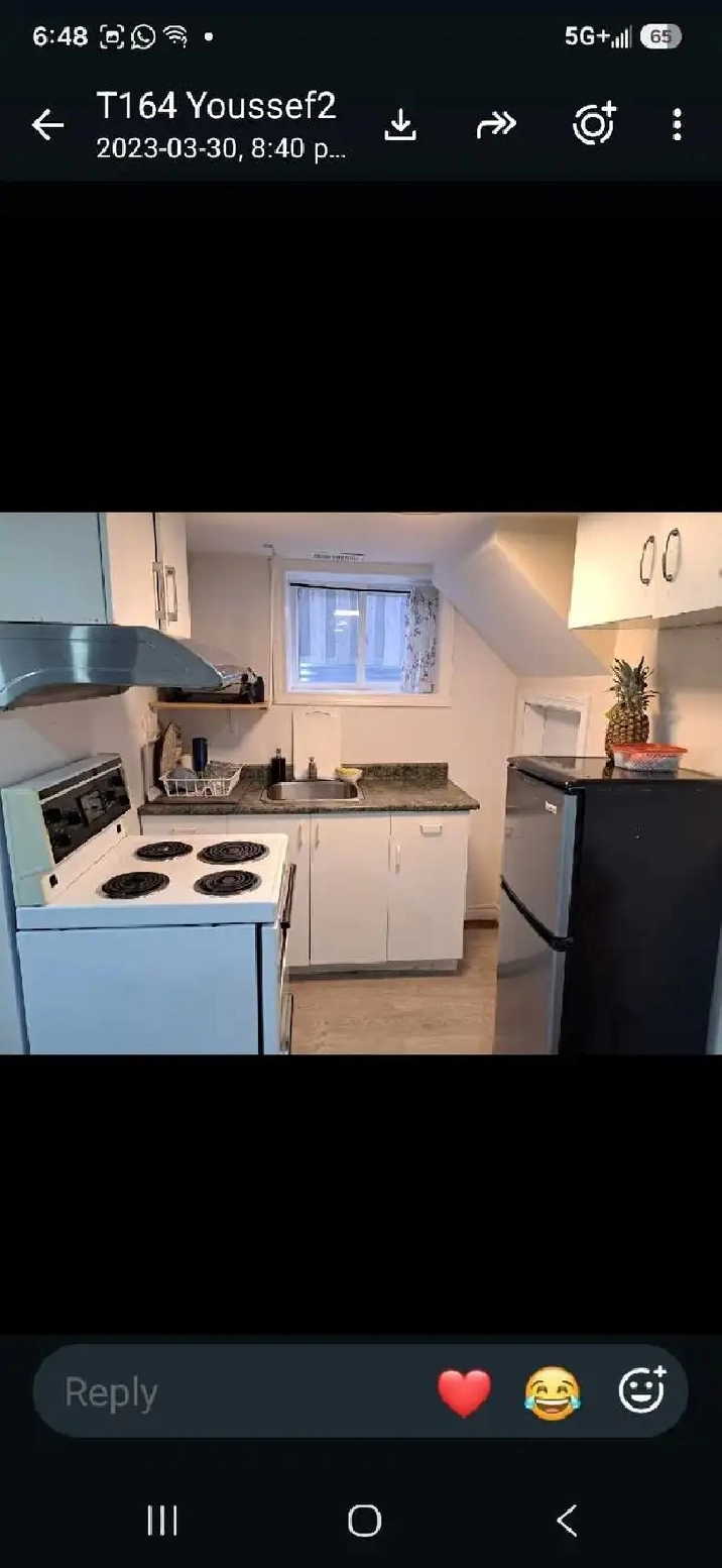apartment for rent from November 01