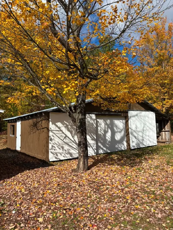 Photo 11