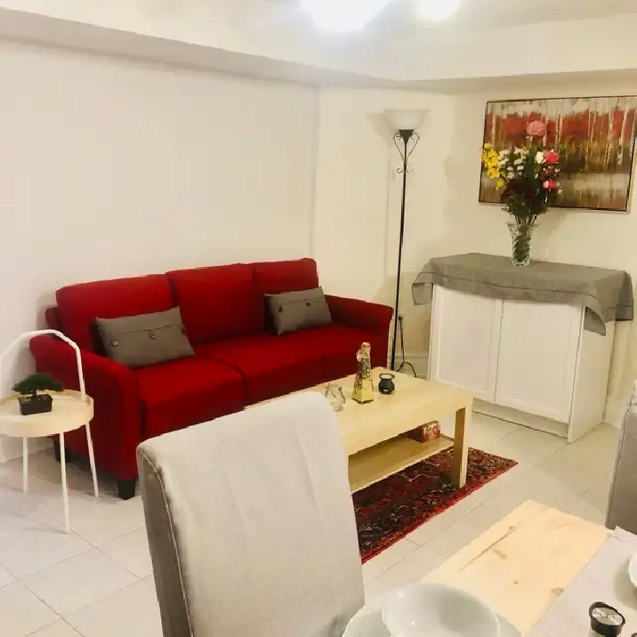 beautiful 2 beseoom basemnt apartment near Square one