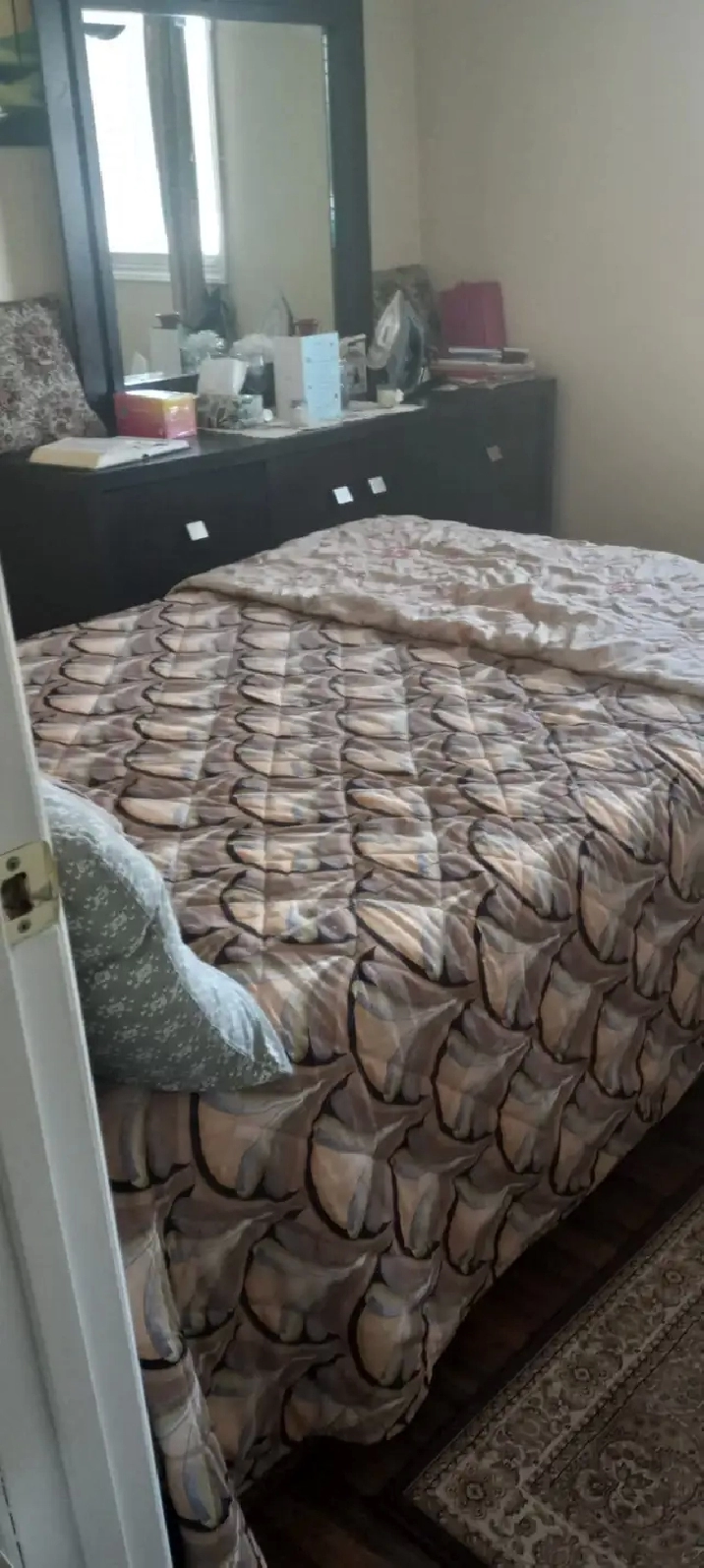 Furnished 1 Bedroom for Rent - Madoc Ontario
