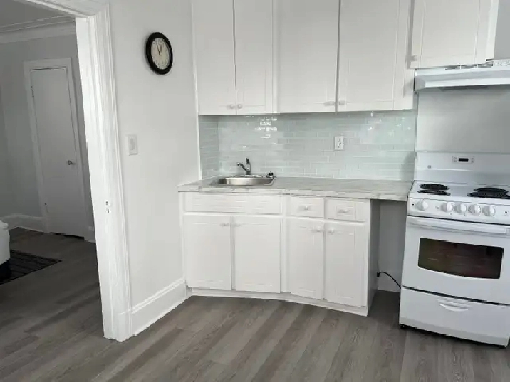 Stylish Fully Furnished Bachelor Apt for Rent