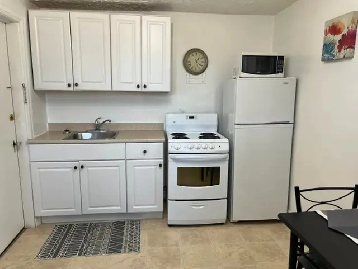Furnished Bachelor Apt for Rent
