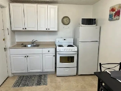 Furnished Bachelor Apt for Rent