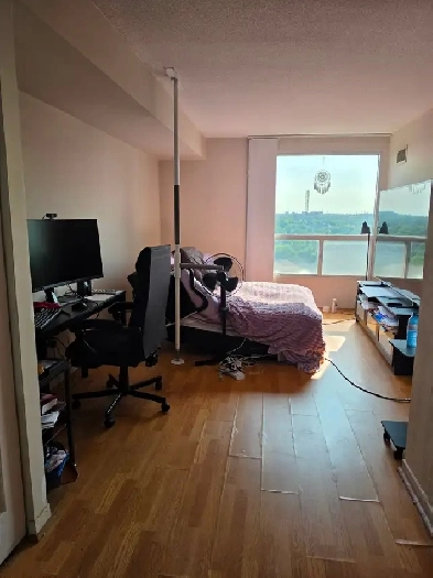 FURNISHED RM IN SHARED 2BDRM CONDO MIDTOWN