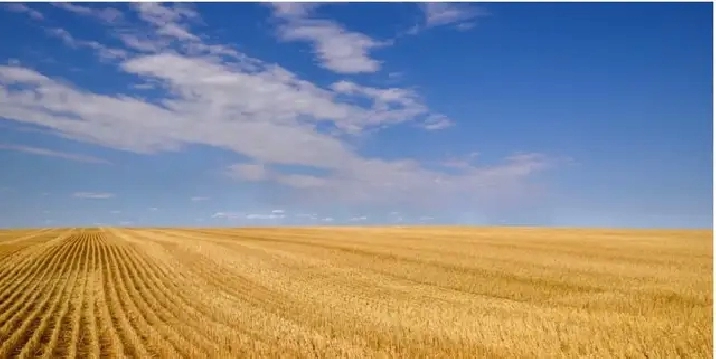 FARM LAND FOR SALE