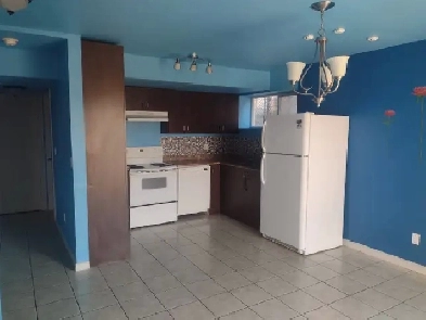 Walkout basement in Laurel