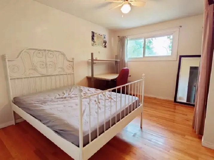 Large Private Bedroom Near Carleton & Algonquin- Dec 1st