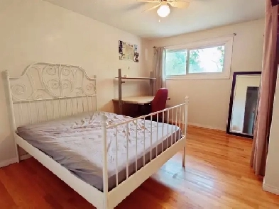 Large Private Bedroom Near Carleton & Algonquin- Dec 1st