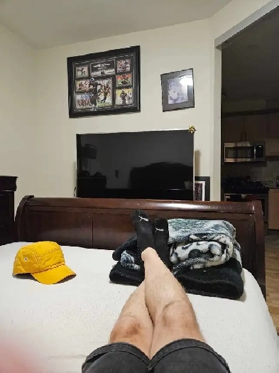 looking to rent a room