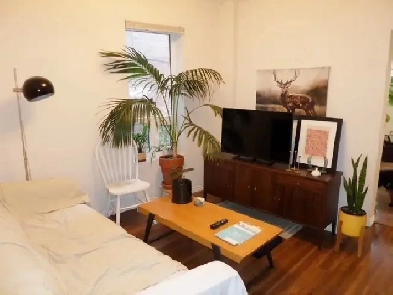 Charming Downtown 1-Bed, 1-Bath Main Floor Unit – Available Oct