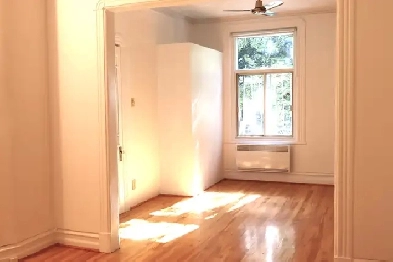 4 1/2 , plateau Mt-Royal, 1 425 $ libre maintenant,