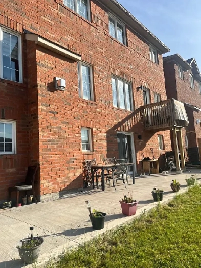 BACHELOR/ STUDIO APARTMENT FOR RENT IN BRAMPTON