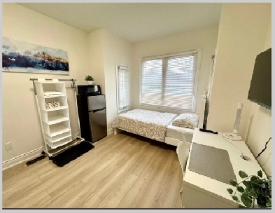 Bright Modern Room In Toronto (Per Night-Stay), At Parkdale.