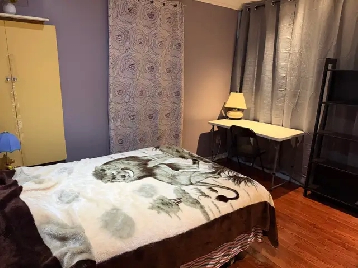 ( only girl ) room for rent