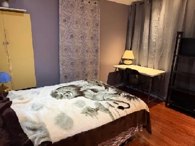 ( only girl ) room for rent